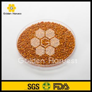 Polline di Camillia Pollen Camillia Bee