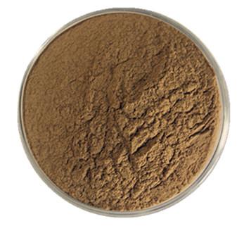 PROPOLIS-10.jpg