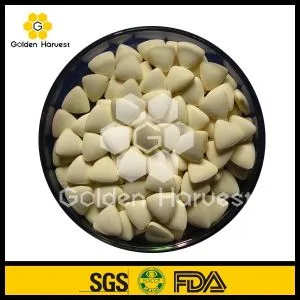 Salute Organic Royal Jelly Tablet